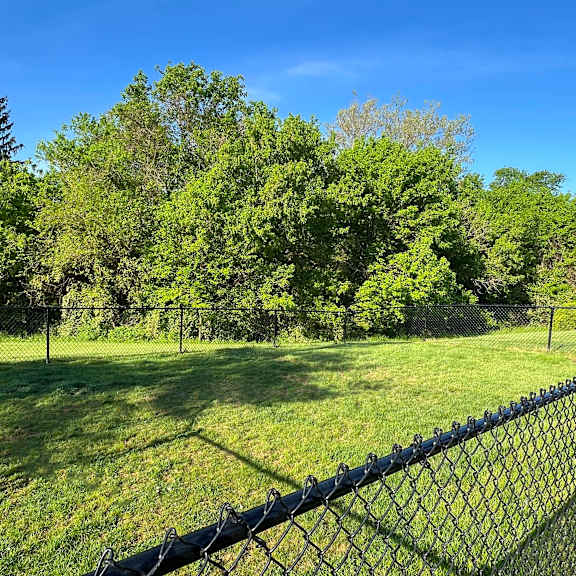 a black chain link fence separates a grassy field from a wooded area.
