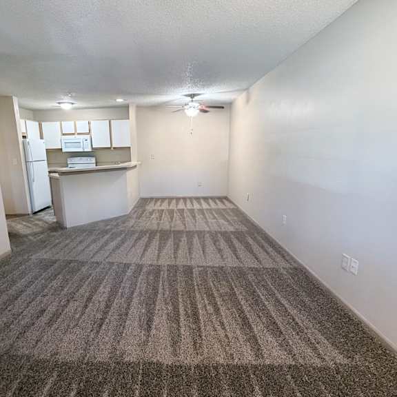 a carpeted room with a striped rug on the floor.