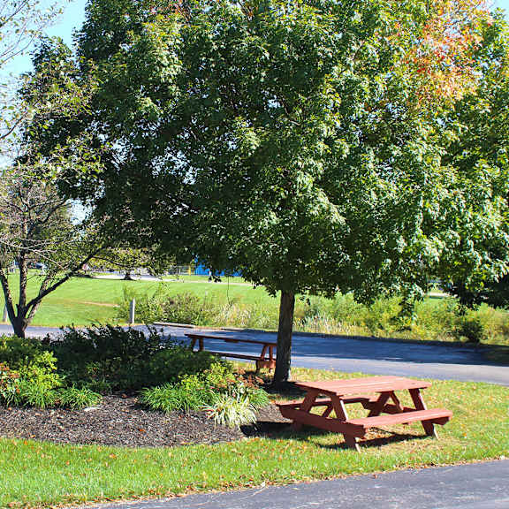 picnic and bbq at eagle crest apartments, galloway, oh, 43119