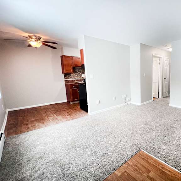 a spacious living room with a grey carpet and a ceiling fan.