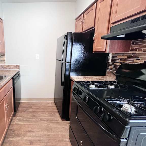a kitchen with a black refrigerator and stove.