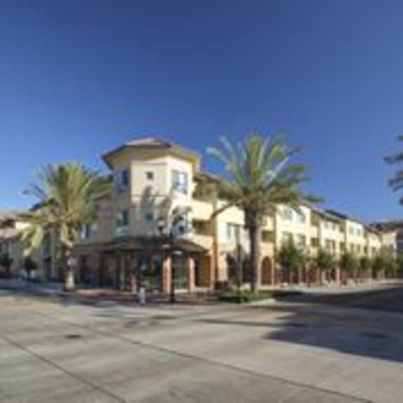 a building with a palm tree in front of it.