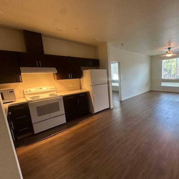 a kitchen with white appliances and black cabinets.