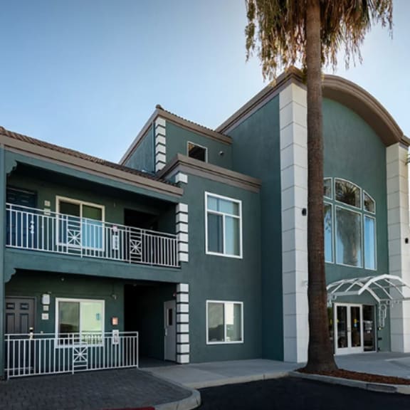 a modern building with a palm tree in front.