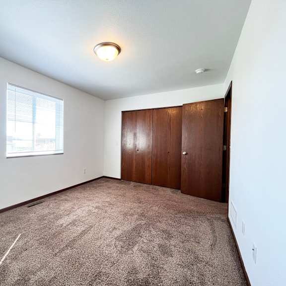 a room with a brown carpet and a brown wardrobe.