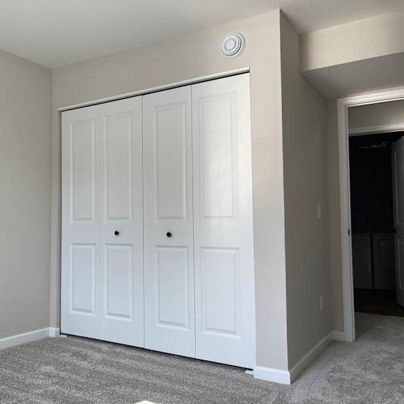 a bedroom with two closets and a carpeted floor