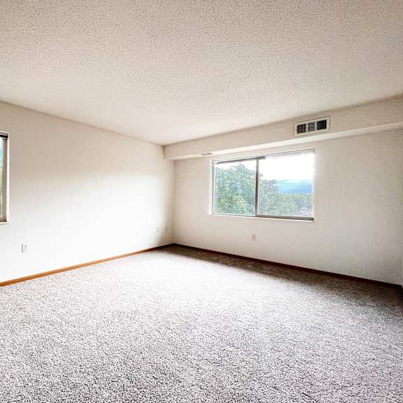 a room with a grey carpet and two windows.