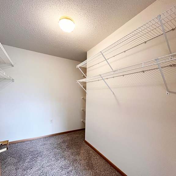 a room with a carpeted floor and a wall of shelves.