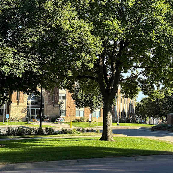 a tree in front of a brick building with a sign that says "ashland".