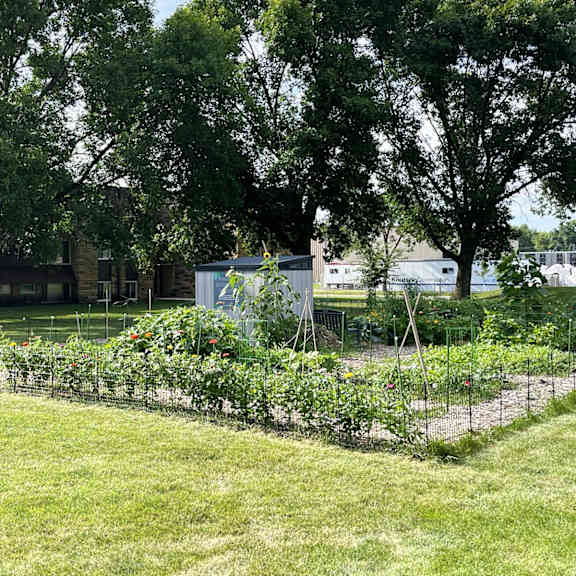 a garden with a fence and a building in the background.