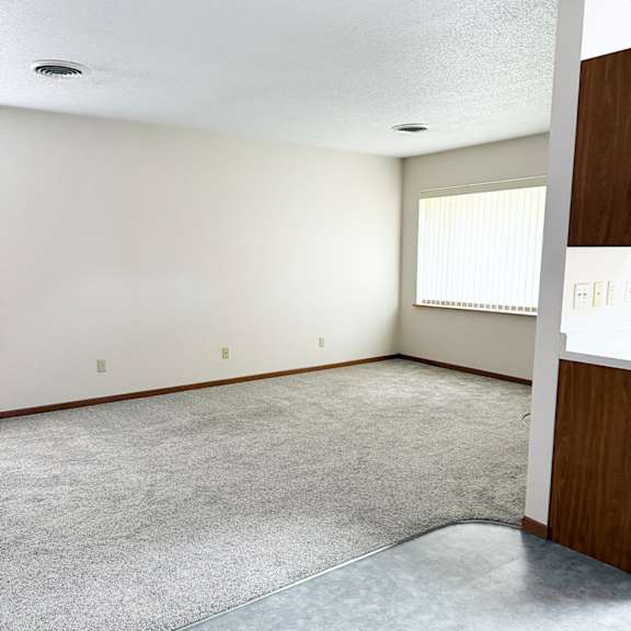 a room with a grey carpet and a window with blinds.