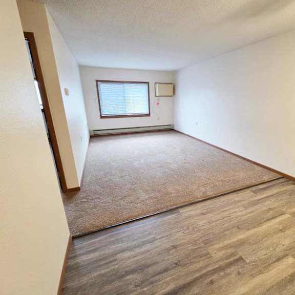 a room with a window and a rug on the floor.