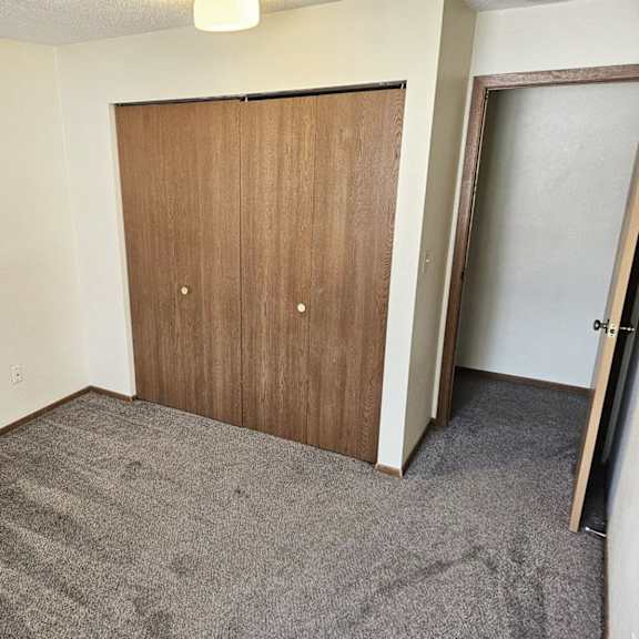 a room with a brown door and carpeted floor.