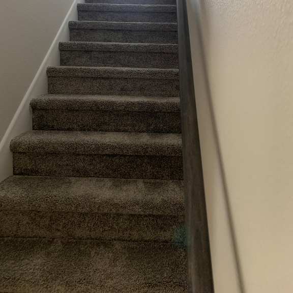 a view from the bottom of the stairs looking up