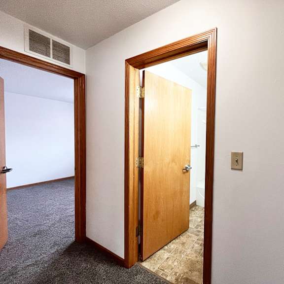 a room with a brown door and a carpet.