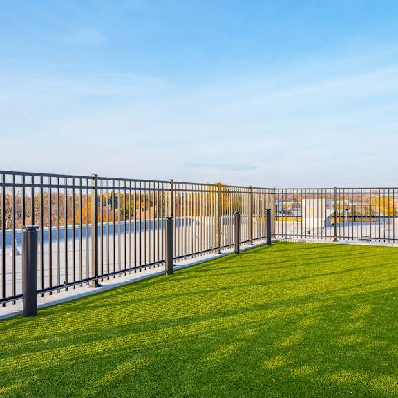 wooftop dog park
