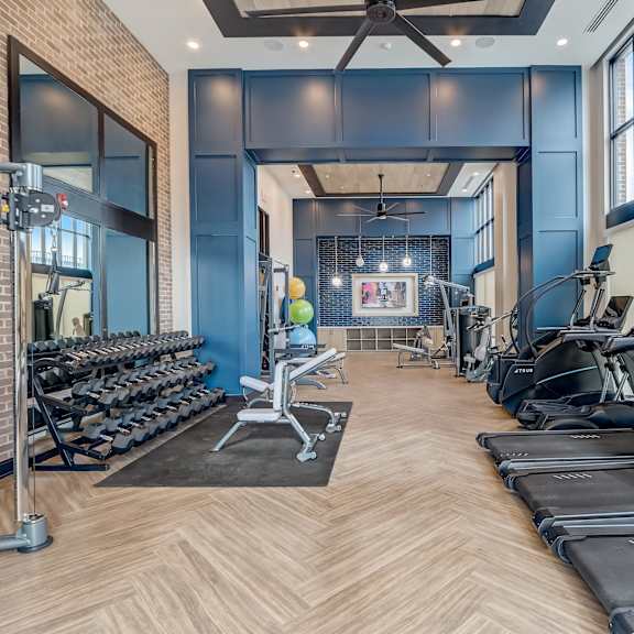 a gym with cardio machines and weights and windows