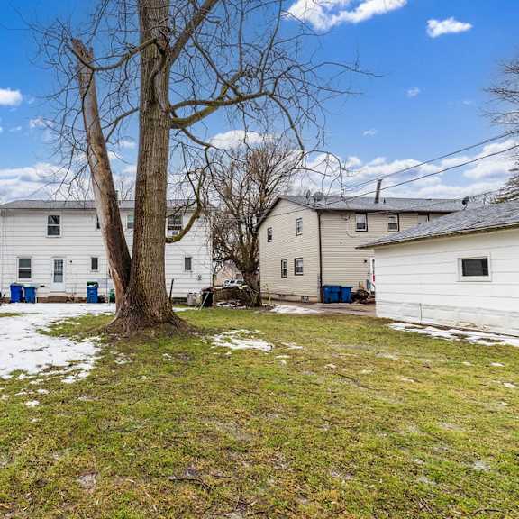 a tree stands in the middle of a yard with houses in the background.