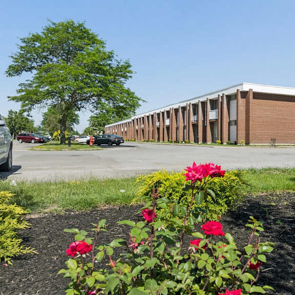 amherst apartment for rent