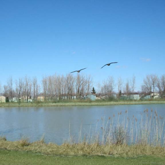 deer lakes apartments – two-bedroom, two-full bath units - one-bedroom, one-full bath units – patio – in-unit washer and dryer - near ub north – lake views – sweet home schools – pet friendly
