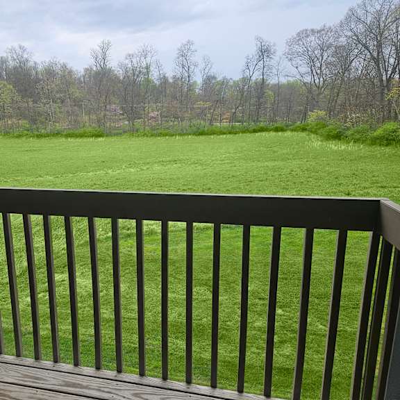 peaceful exterior lawn view at sandhurst apartments, ohio, 43701