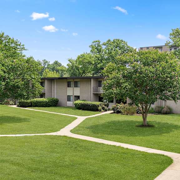a grassy area with a building in the background and a tree in the foreground.