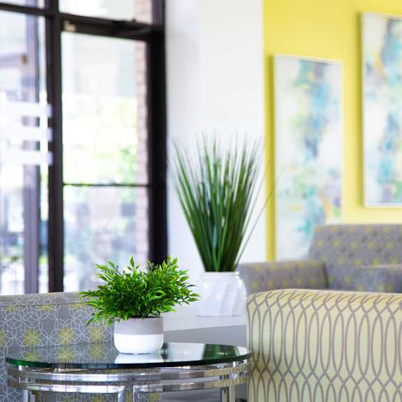 a potted plant sits on a glass table between two patterned chairs.