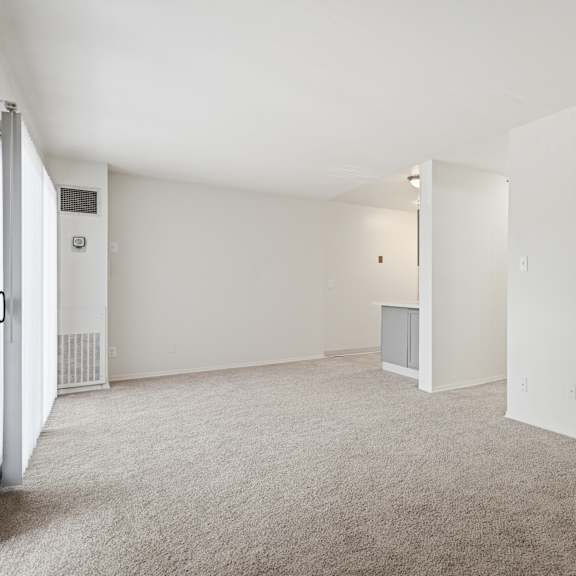 empty room with carpeted floor and white walls.