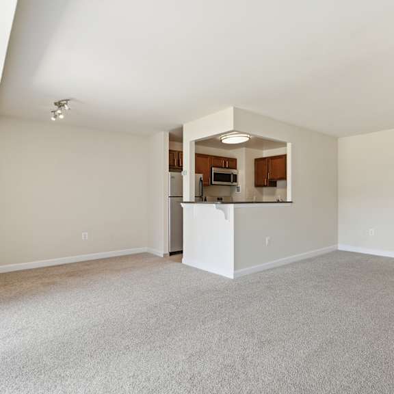 a spacious living room with a kitchenette in the background.