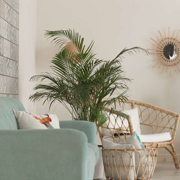 a living room with a couch, chair, and potted plants.