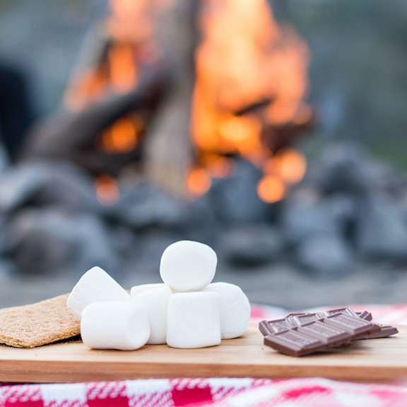 fireside smores