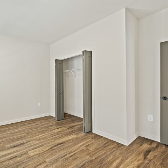 Thumbnail 11 of 14 A bedroom with wood floors, white walls, and ample closet space at Azalea, Luxury Tampa Apartments