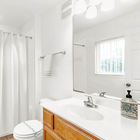 a bathroom with a shower and a sink and a mirror