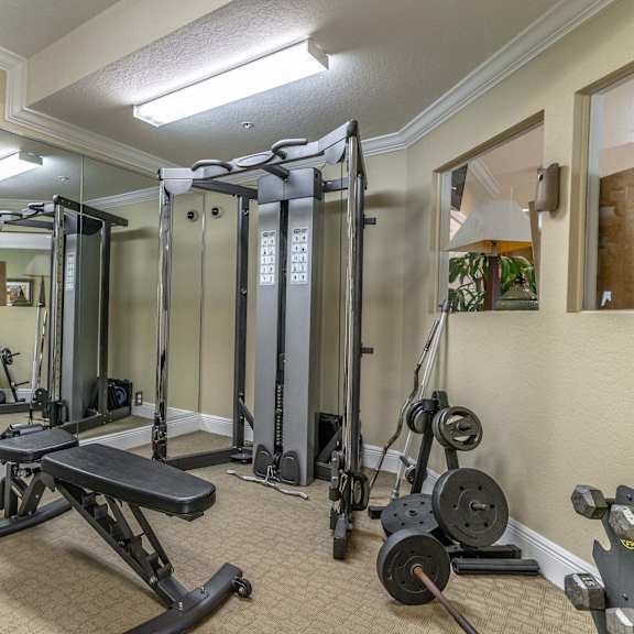 a home gym with weights and cardio equipment