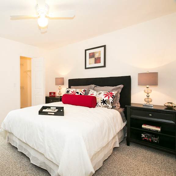 bedroom with window and bright lighting
