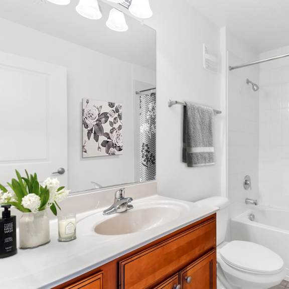 bathroom with shower tub combo