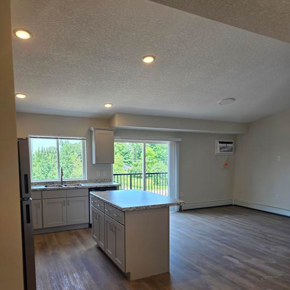 kitchen and living room space