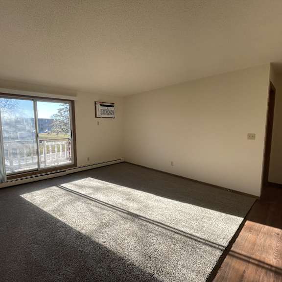 a sunny room with a grey carpet and a window with curtains.