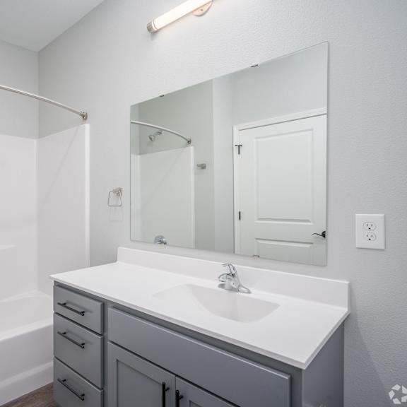 a bathroom with a sink and a shower and a mirror