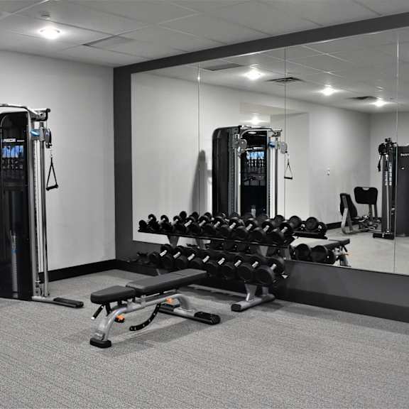 a gym with a variety of equipment including a squat rack, bench press, and dumbbells.