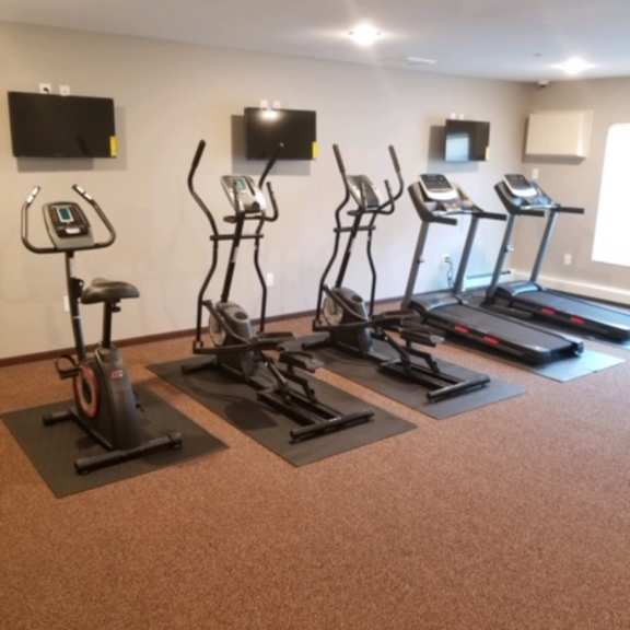 a gym with a row of treadmills and elliptical machines.