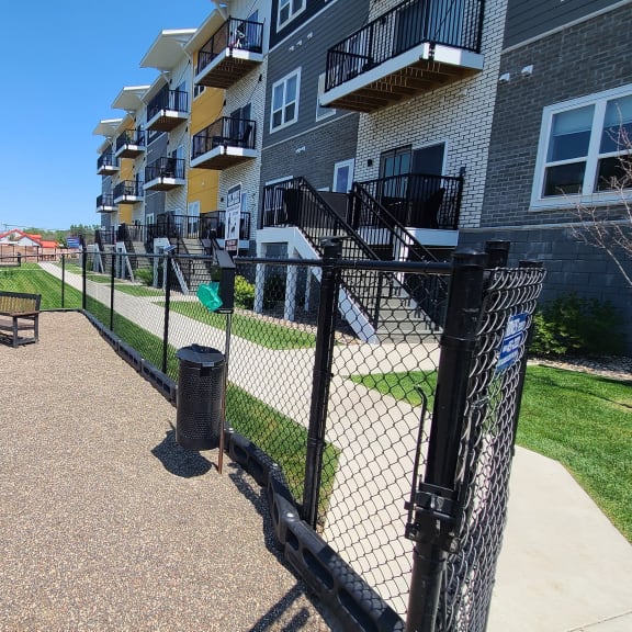dog park with fenced in area