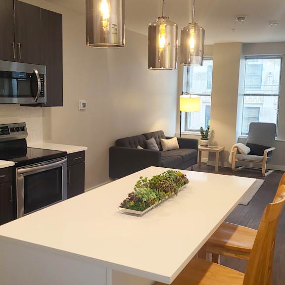a kitchen with a white counter top and a plant on it.