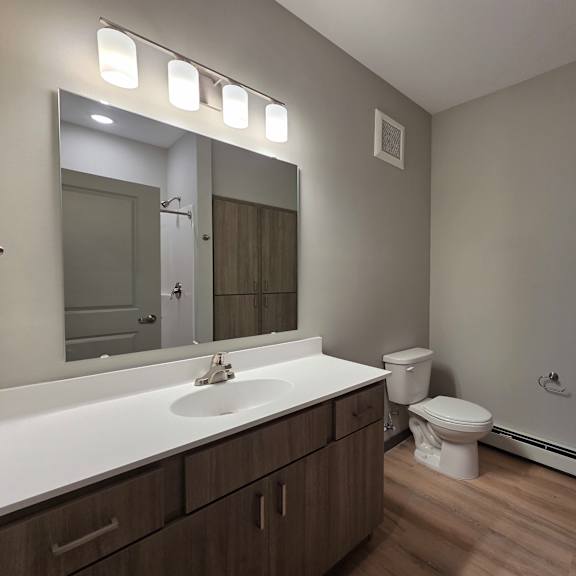 a bathroom with a white sink, toilet, and wooden floors.