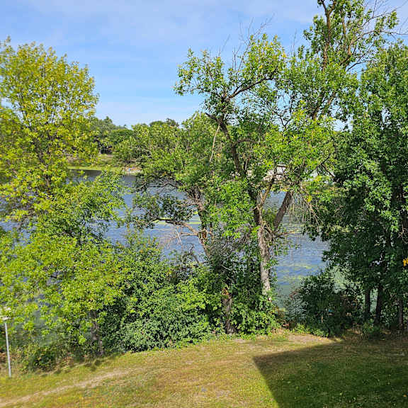 a view of a lake from a window with trees in the foreground.