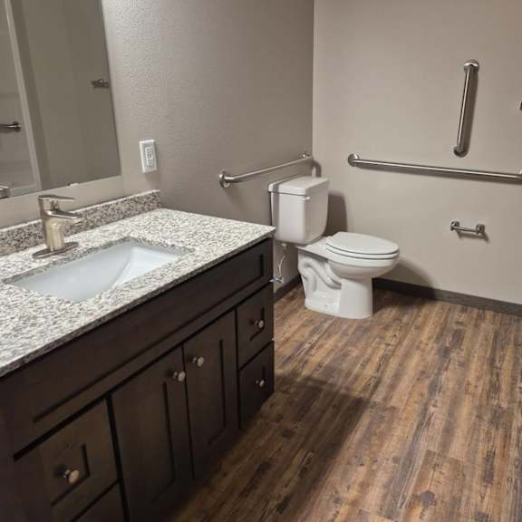 a bathroom with a toilet, sink, and grab bars.
