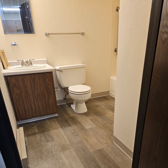 a bathroom with a toilet and a sink