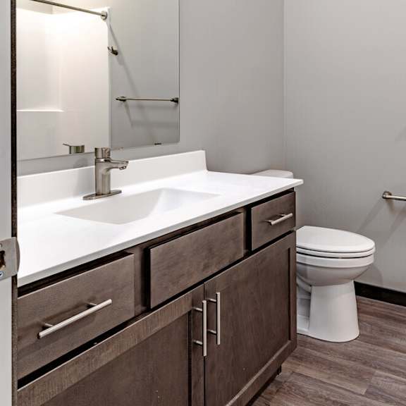 a bathroom with a sink and a toilet