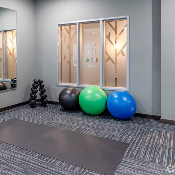 an exercise room with pilates balls and dumbbells