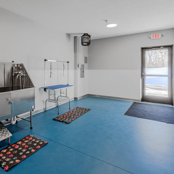 a room with blue flooring and white walls has a couple of sinks and a door.